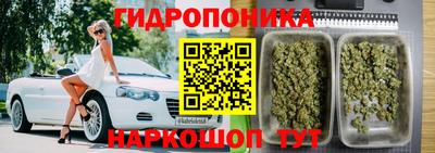 индика Тара